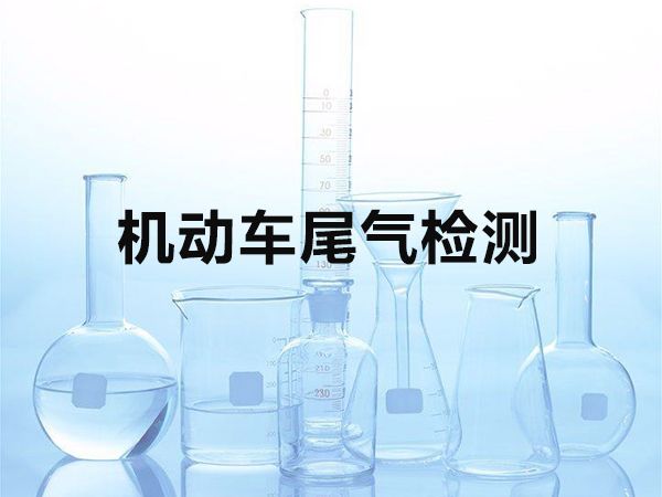 機(jī)動車尾氣檢測